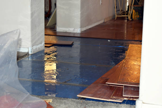 Professional Water Damage Restoration technician working in Medina, TX